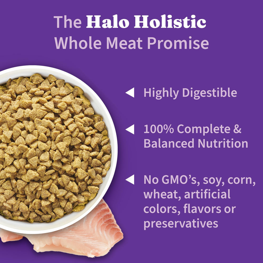 Halo Holistic USA-made dry cat food ready for daily feeding