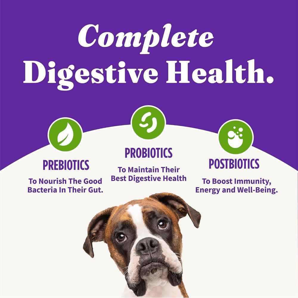 Halo Holistic Vegan digestive health kibble with prebiotics and probiotics.