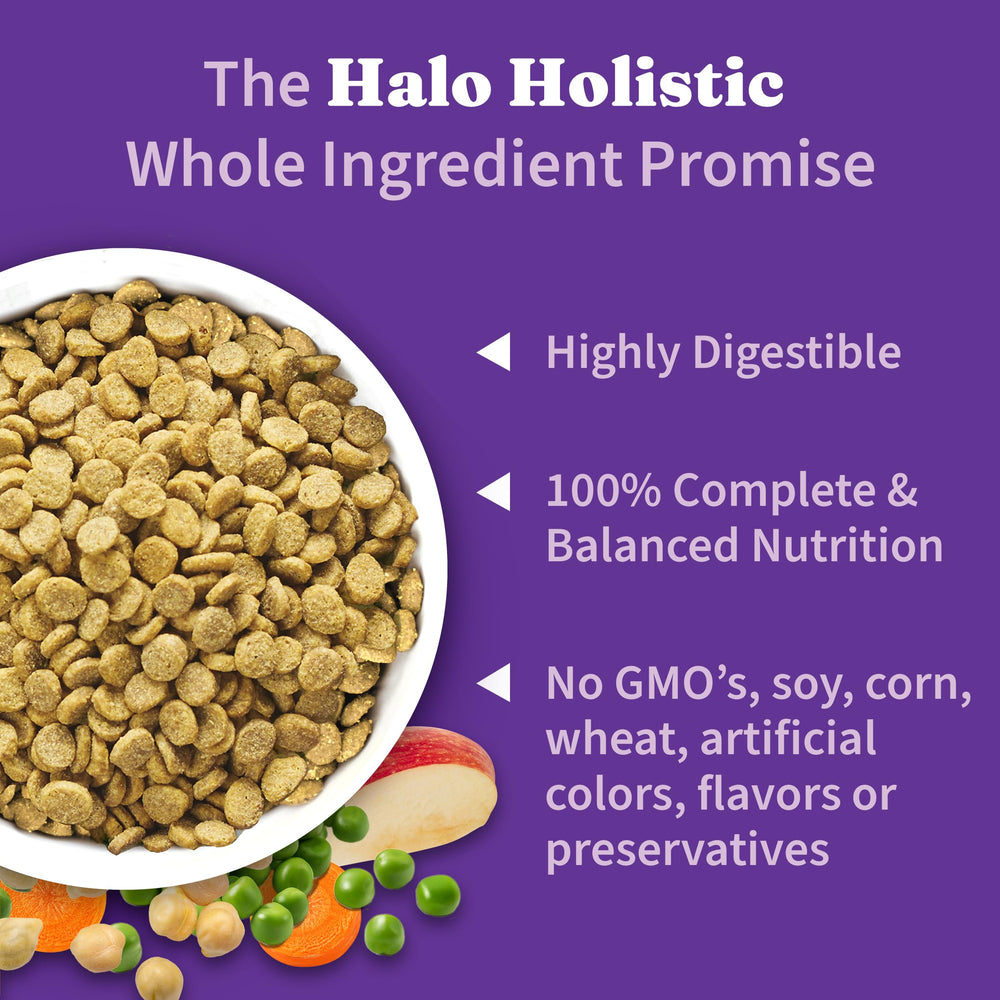 Halo Holistic Vegan Dog Food in a bowl ready for mealtime.