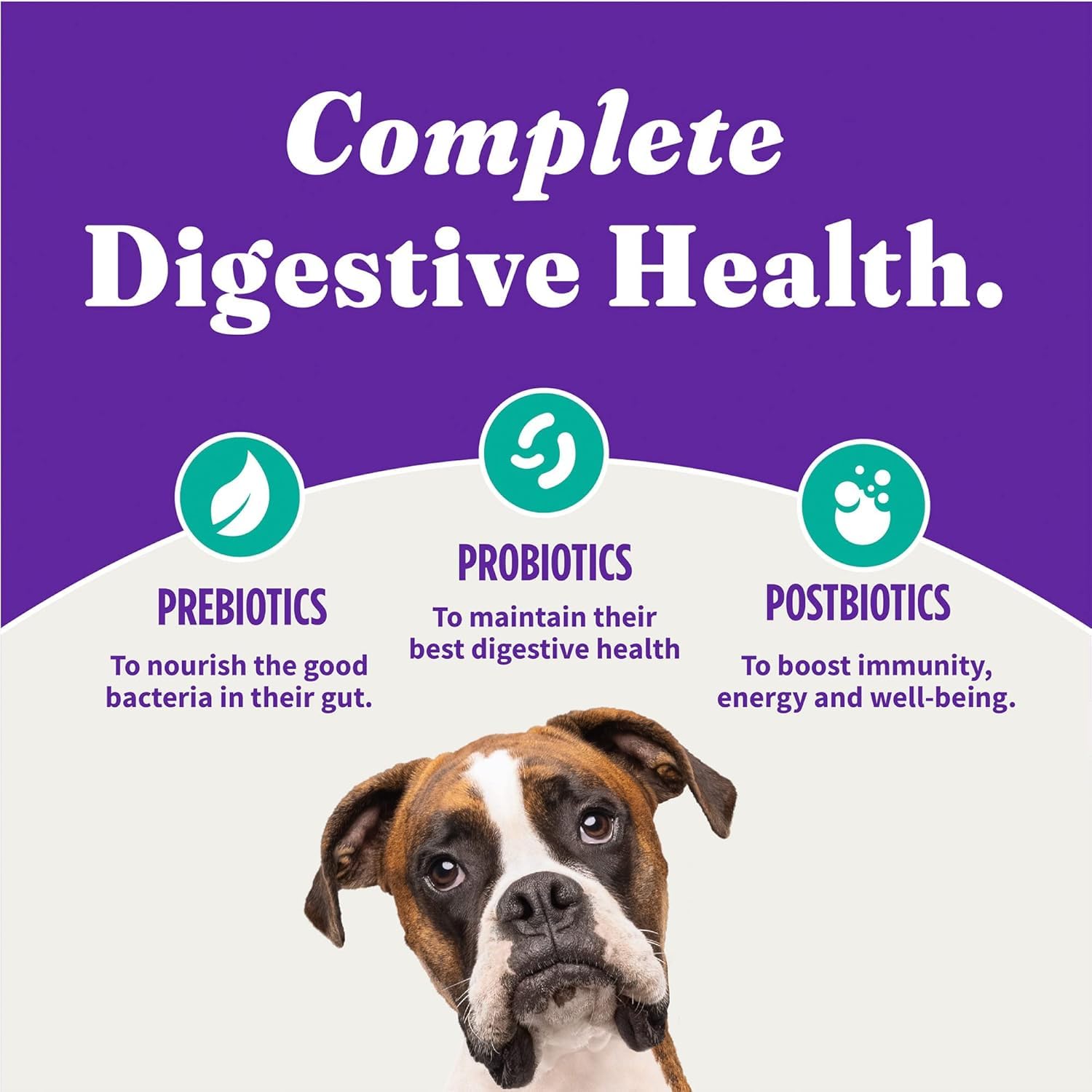 Halo Holistic Vegan Dog Food with non-GMO ingredients.