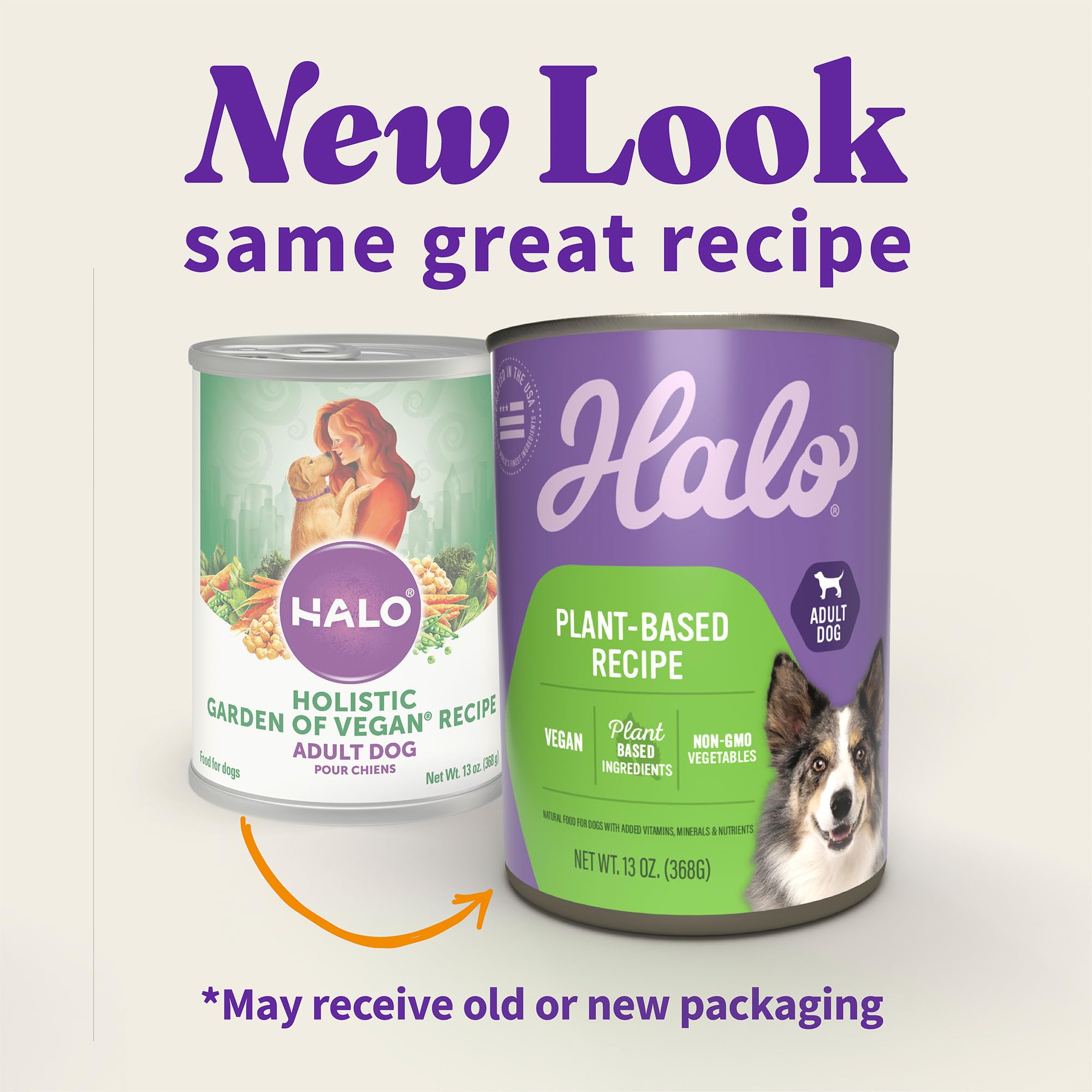 Halo Holistic Vegan Wet Dog Food in a bowl ready-to-serve complete meal.