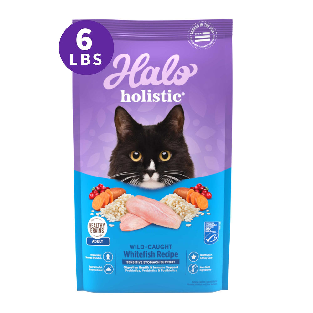 Halo Holistic Wild-Caught Whitefish kibble in bowl supports easy digestion and energy