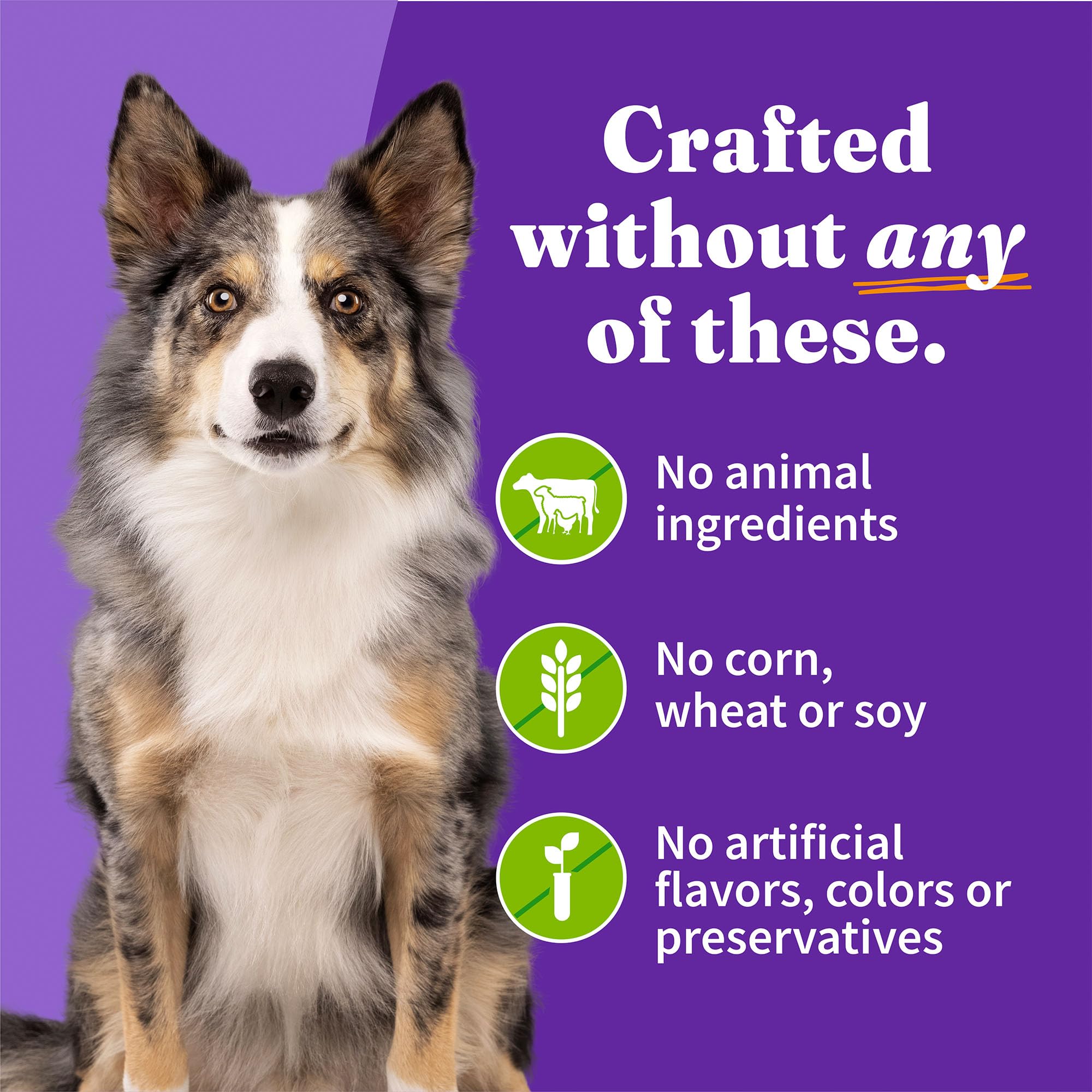 Halo non-GMO vegetables ensure wholesome ingredients in plant-based dog food