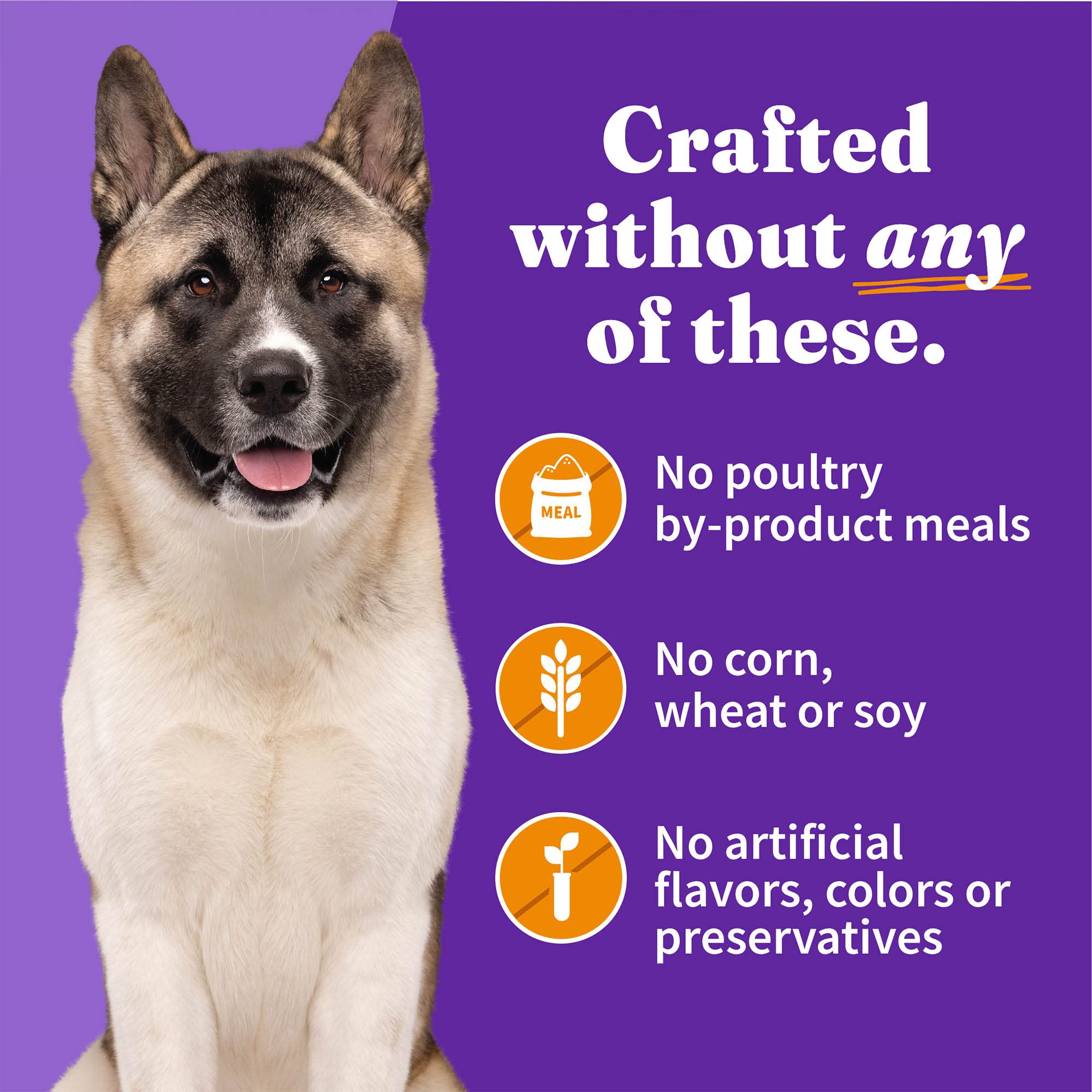 Halo grain-free formula image shows no corn, wheat, or soy