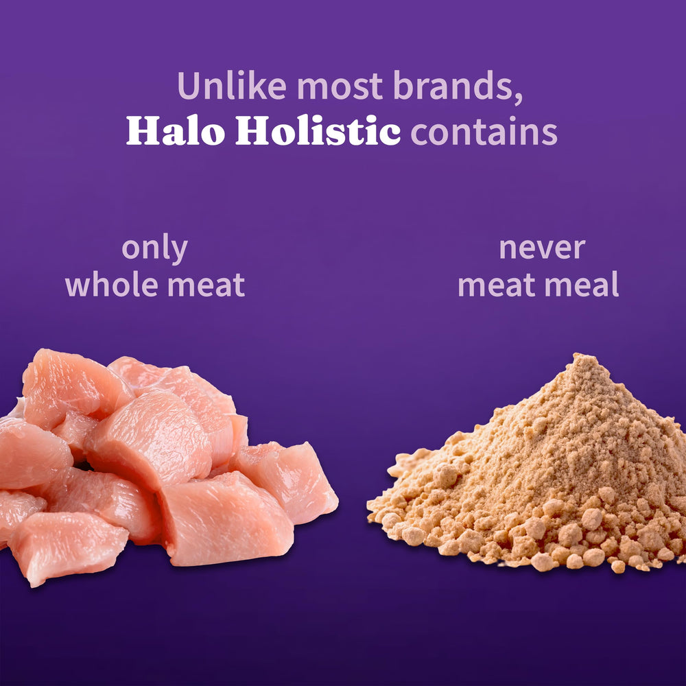 Halo Skin coat omega fatty acids closeup suggests healthy shine and comfortable grooming routines.