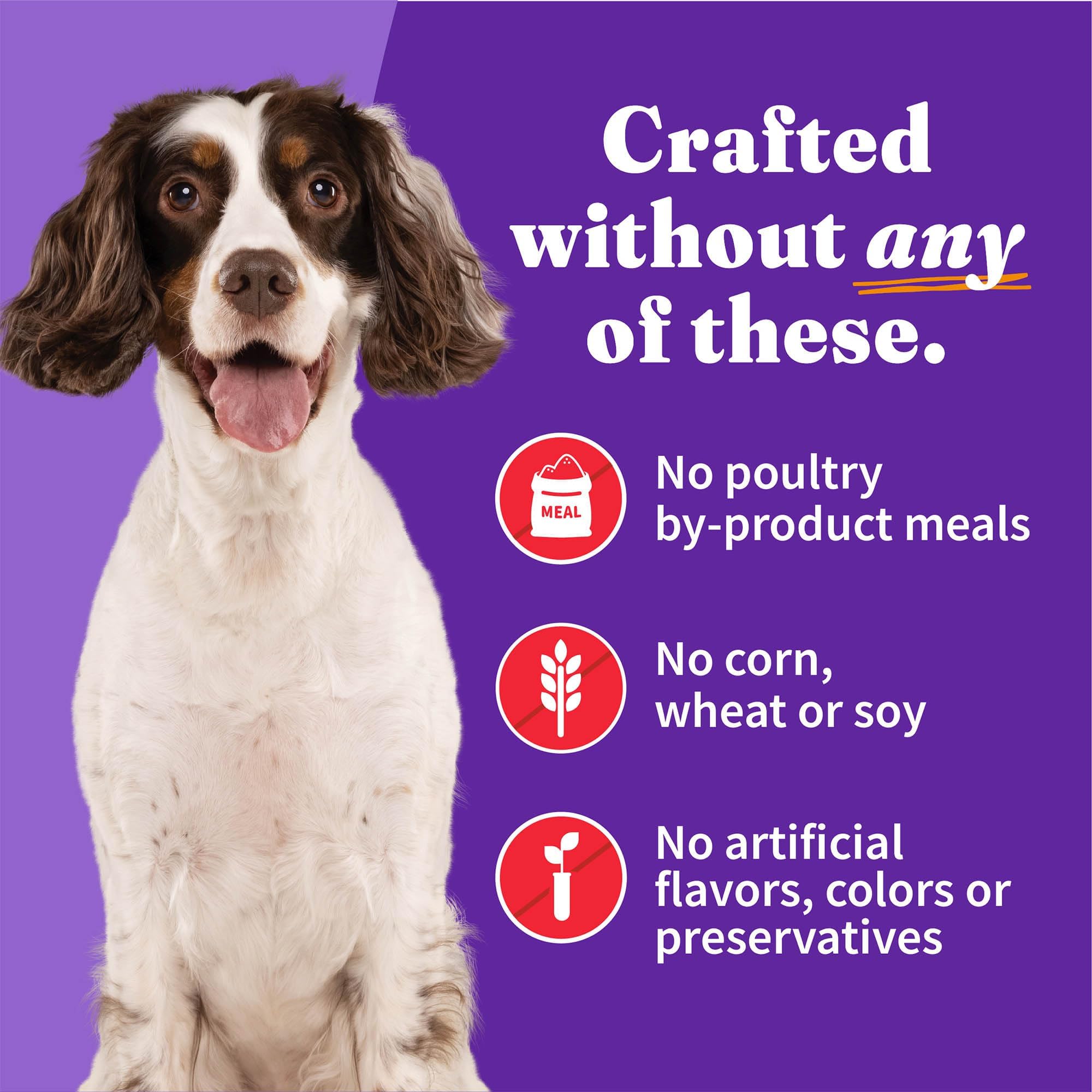 Halo ingredients visuals showcase wholesome grains and real meat