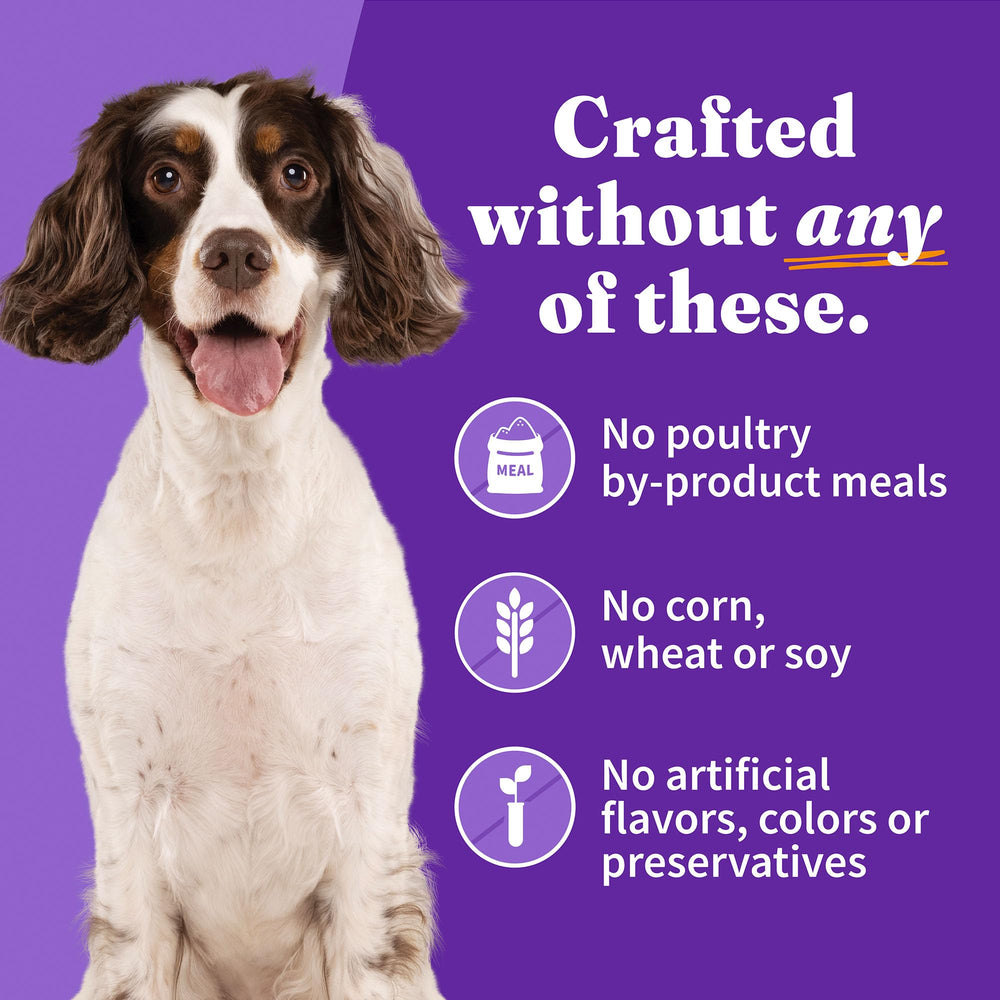 Halo wet dog food turkey-salmon-stew close-up highlighting balanced nutrition.