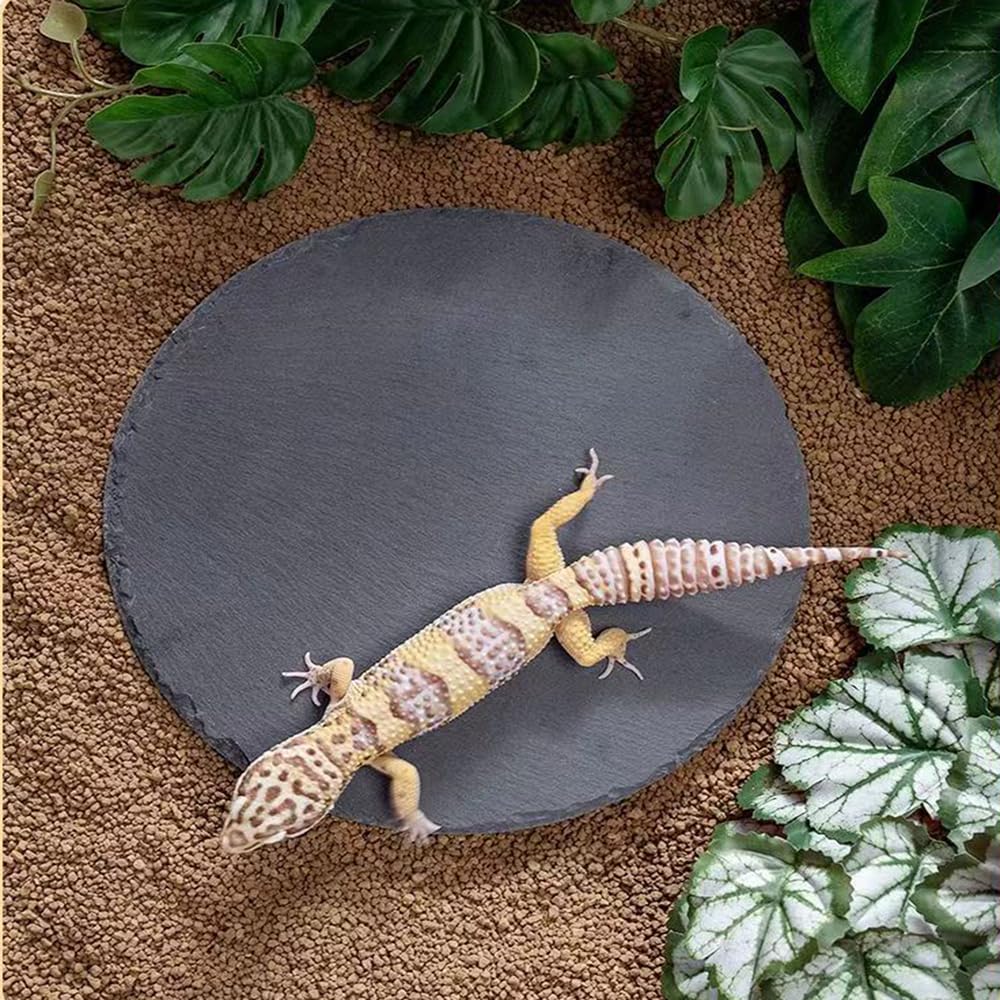 HALONTIN anti-slip bottom stabilizes basking platform during active climbing.