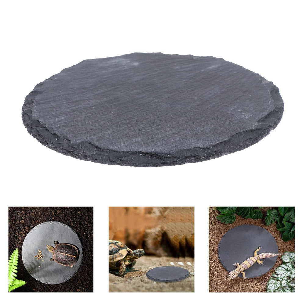 HALONTIN moisture-absorb slate aids watering, drinking, and gentle bathing routines.