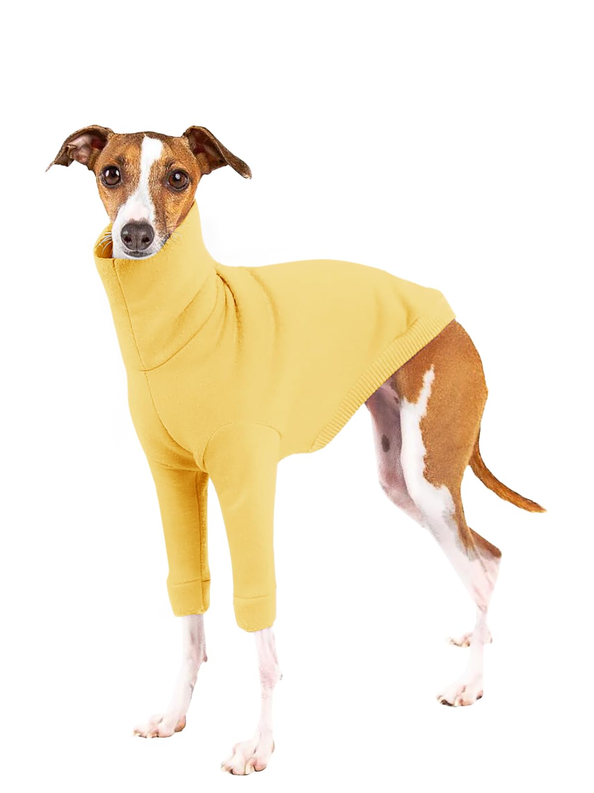 Haloumoning dog fleece sweater front view shows warm turtleneck design for small dogs.