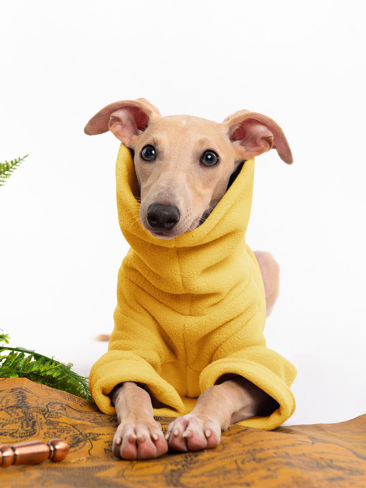 Haloumoning dog fleece sweater packaging shot suggests gifting ideas for dog owners.