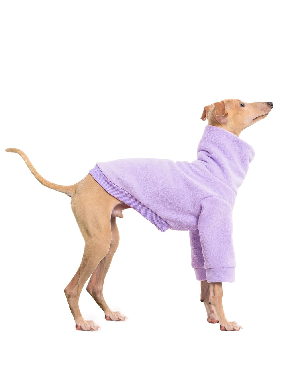 Haloumoning dog fleece sweater back view showcasing snug fit for indoor lounging