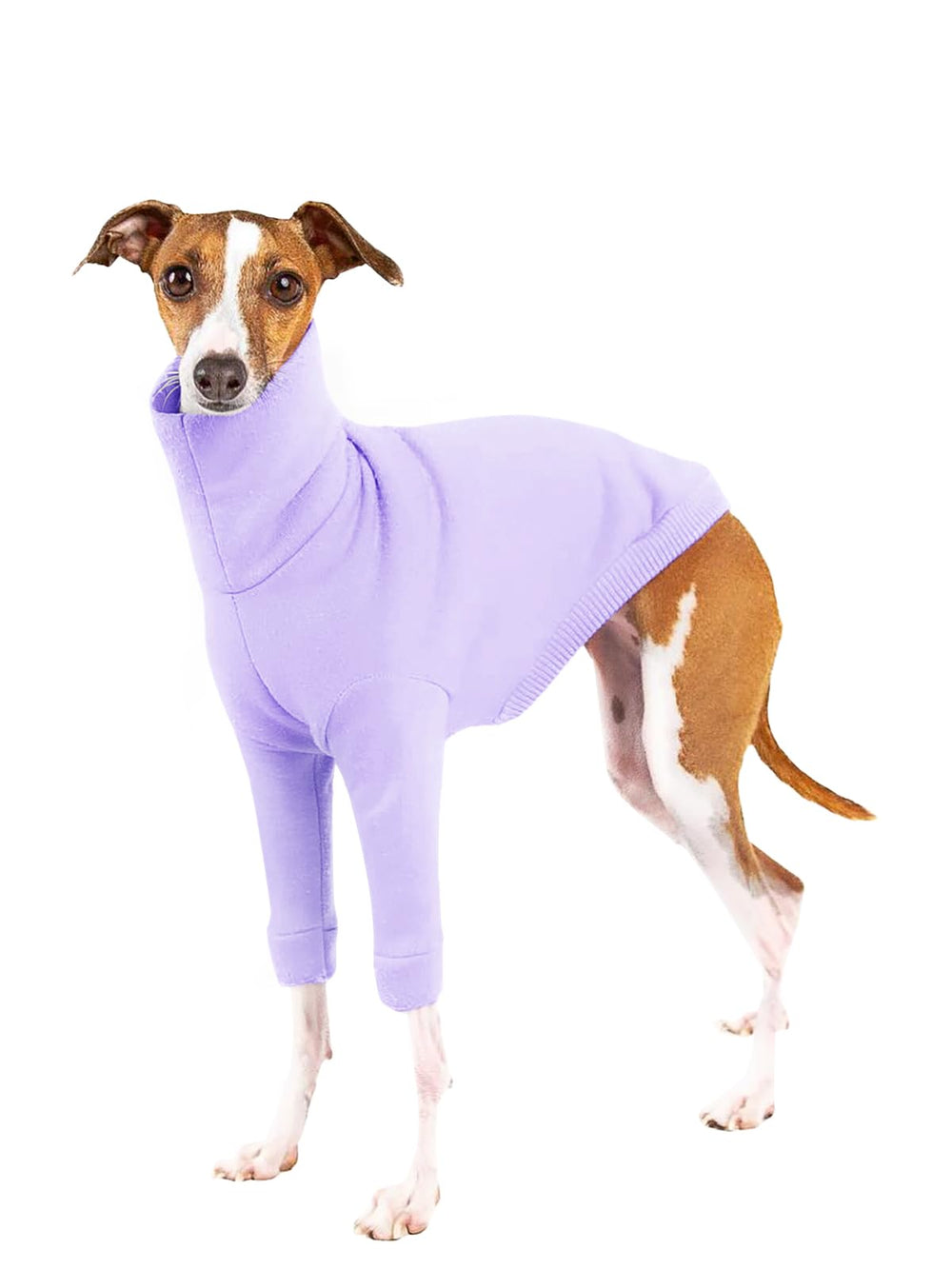 Haloumoning dog fleece sweater front view showing turtleneck warmth for chilly walks