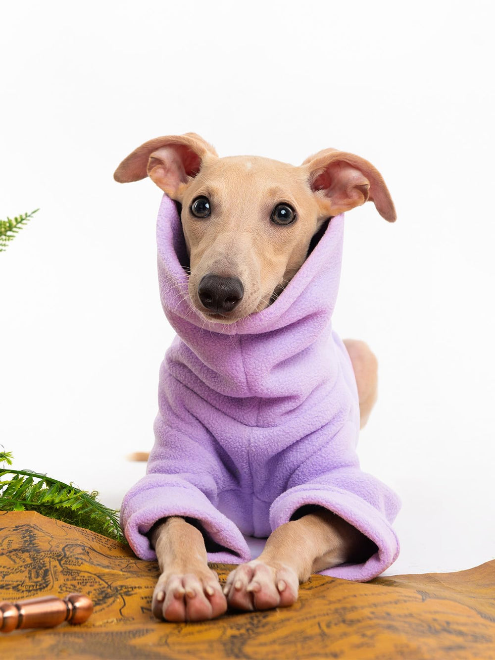 Haloumoning dog sweater design illustrates easy pullover for quick potty breaks