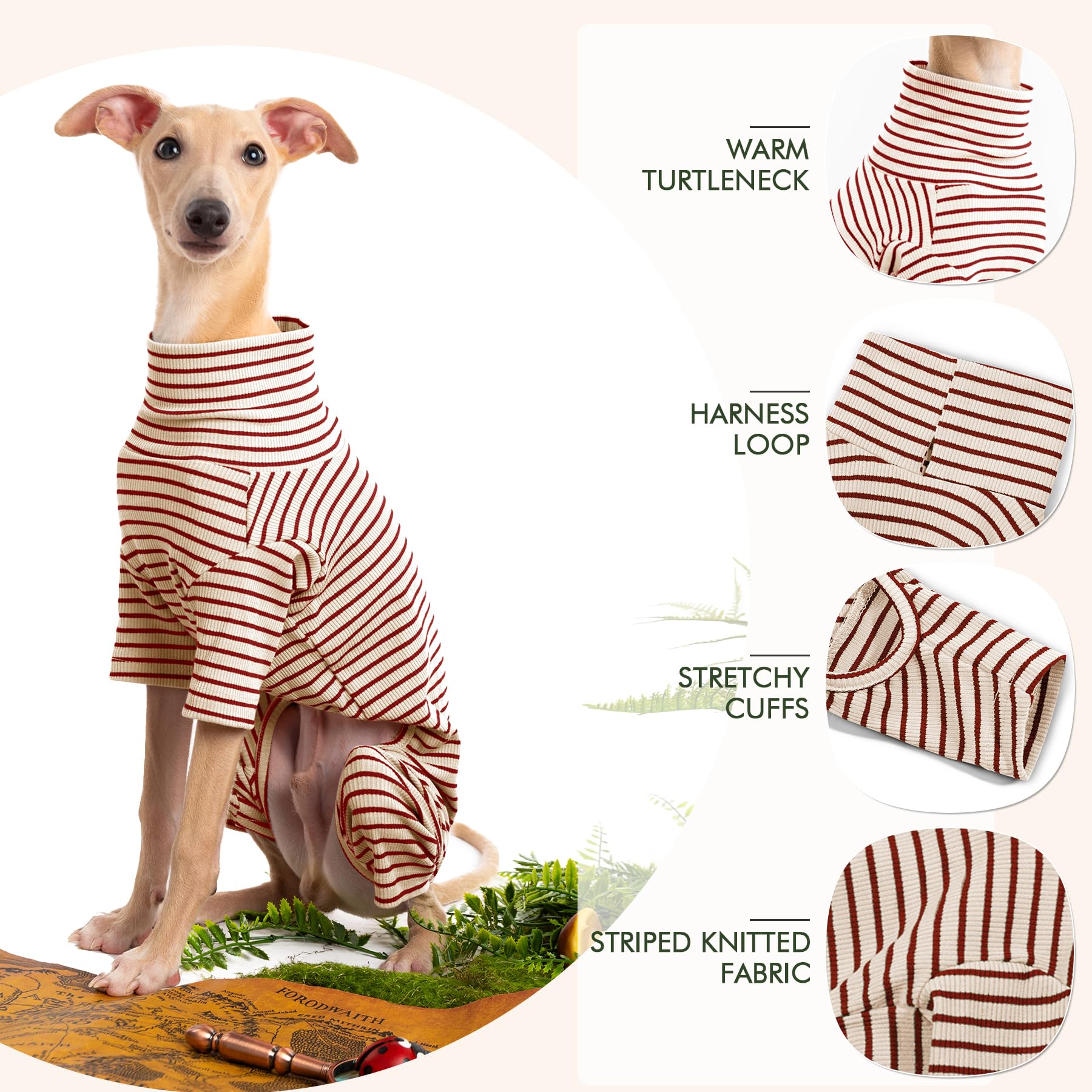Haloumoning dog sweater holiday photos captures charming look for seasonal events