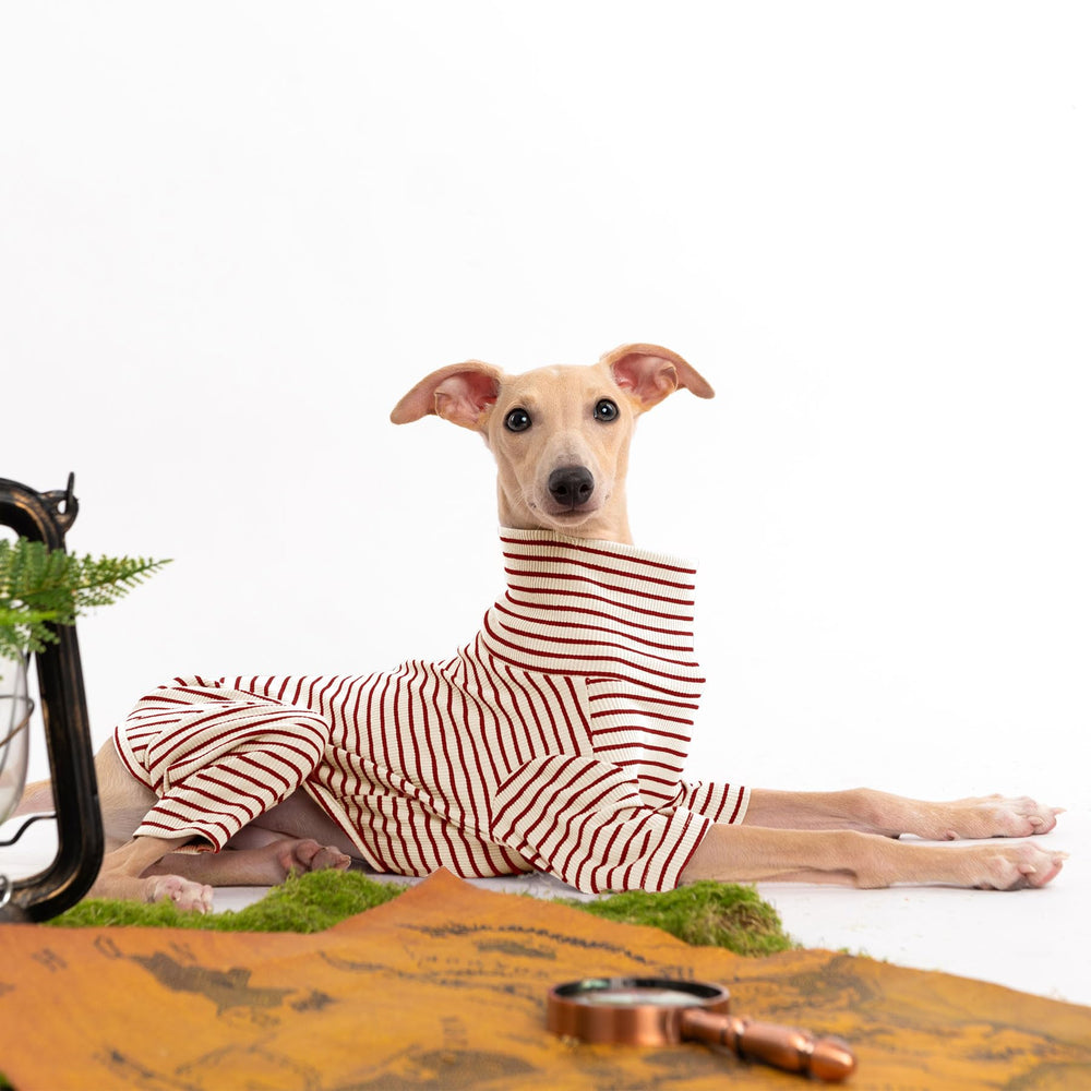 Haloumoning dog sweater pullover elastic underbelly eases on-off during outings