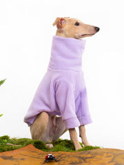 Haloumoning dog sweater size stretch demonstrates flexible fit for growing pets