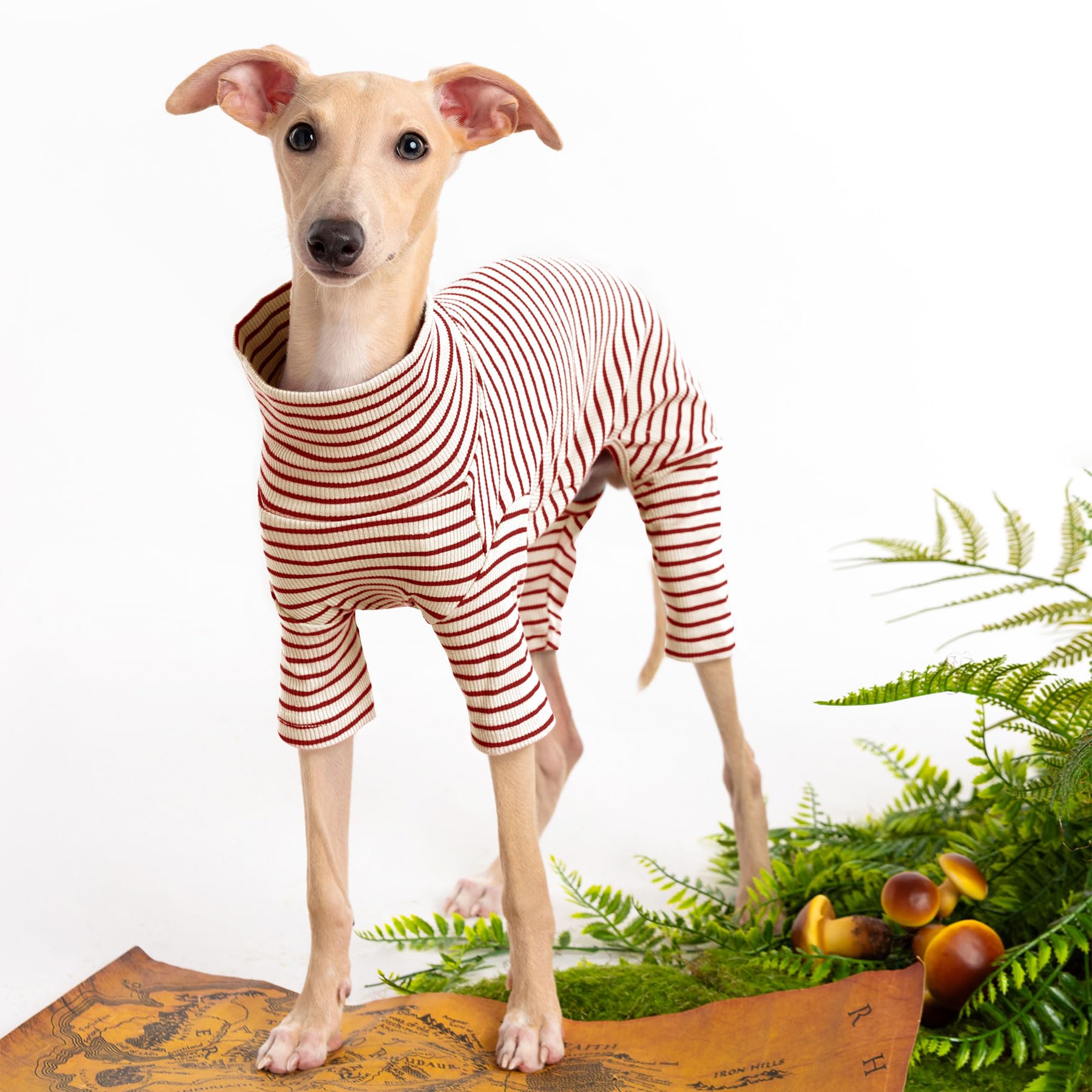 Haloumoning dog sweater striped closeup fabric shows soft knit ideal for daily comfort
