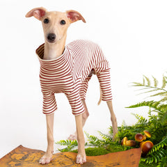 Haloumoning dog sweater striped closeup fabric shows soft knit ideal for daily comfort