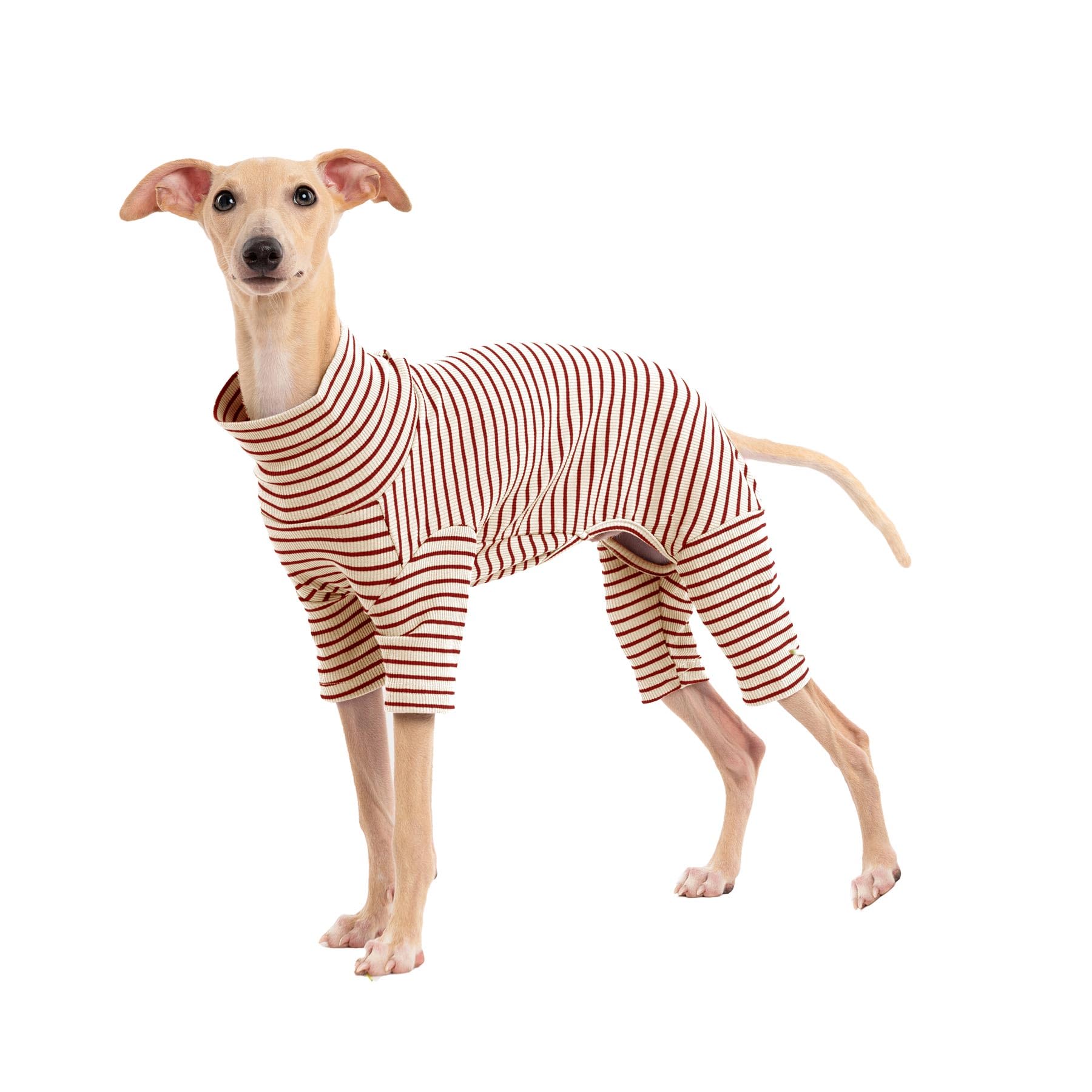 Haloumoning dog sweater striped front view highlights cozy warmth for winter walks