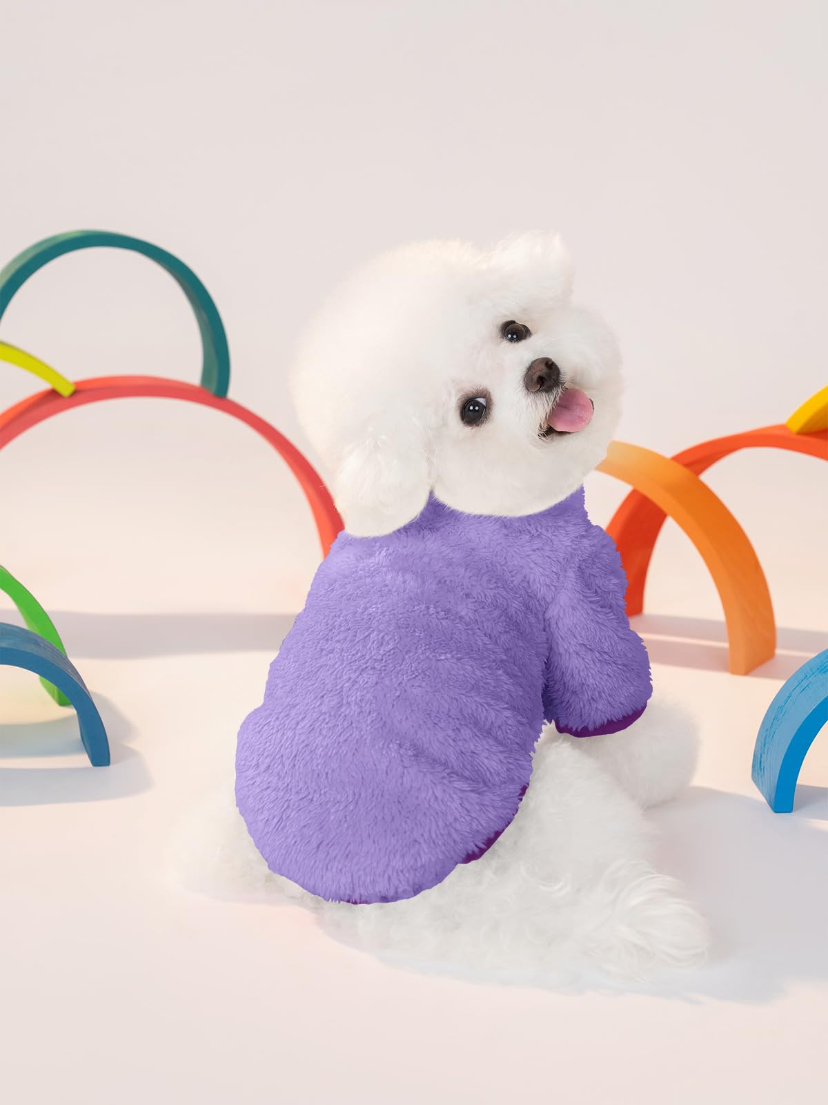 Haloumoning dogs coat with color piping adds stylish detail and visibility