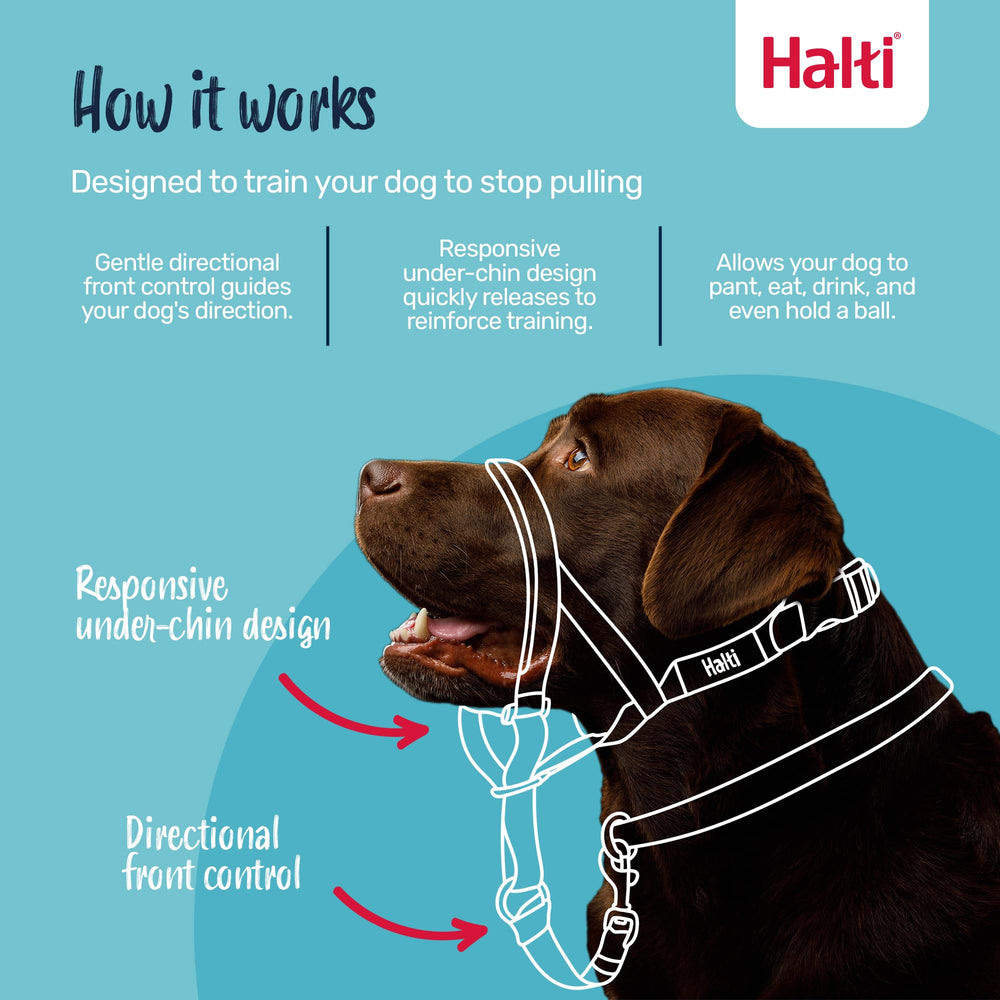 Halti Headcollar reflective-accents for better visibility in low light