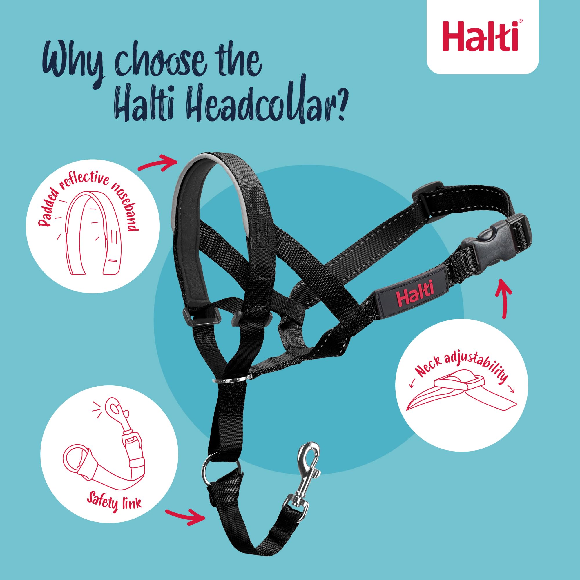 Halti Headcollar safety-link attachment adds leash security