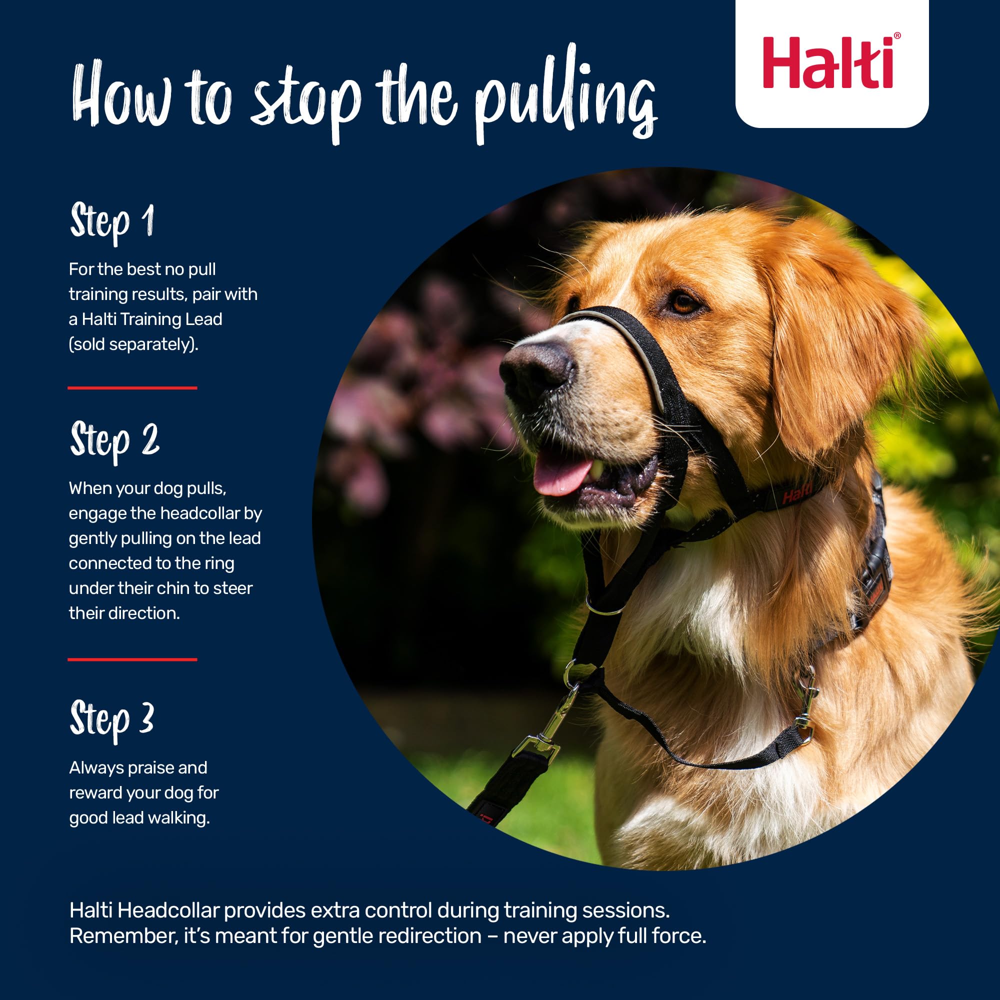 Halti Headcollar training-leash-duo setup supports no-pull training