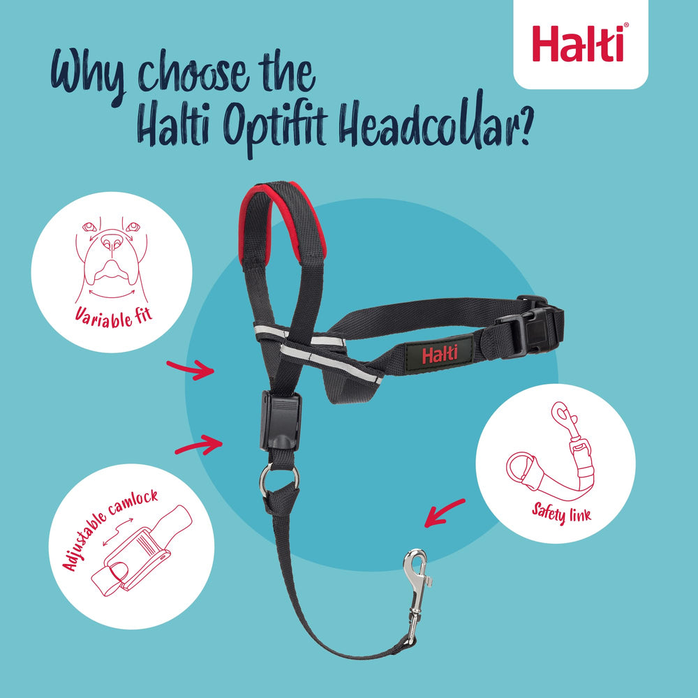 Halti OptiFit padded nose band enhances comfort while allowing panting and drinking.