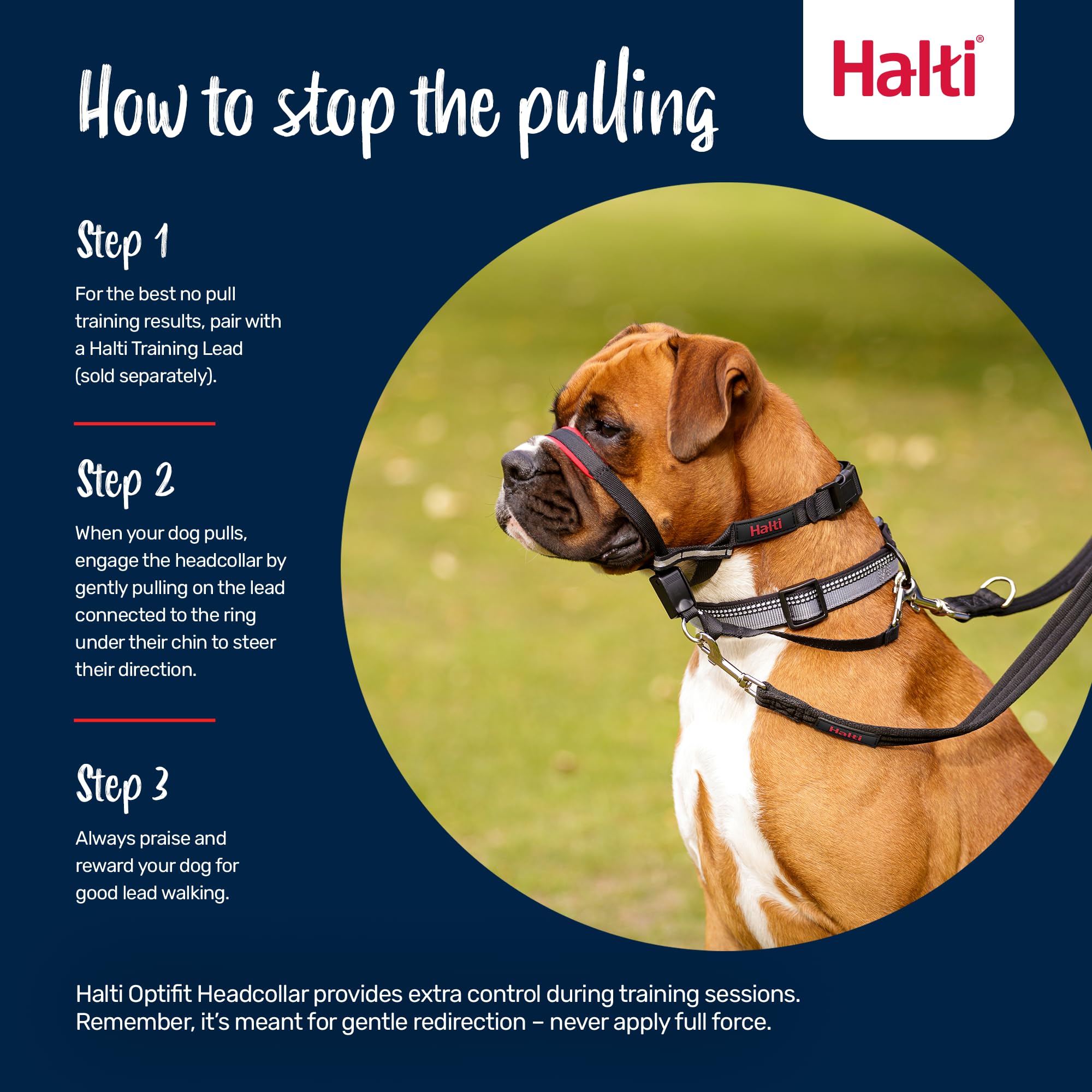 Halti OptiFit reflective webbing on side strips improves visibility on dusk walks.