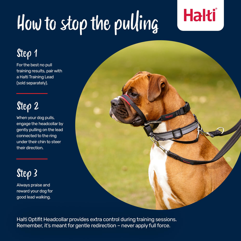Halti OptiFit reflective webbing on side strips improves visibility on dusk walks.