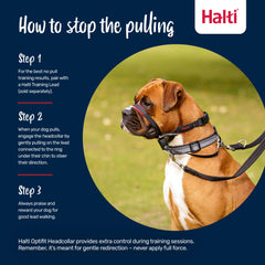 Halti OptiFit reflective webbing on side strips improves visibility on dusk walks.