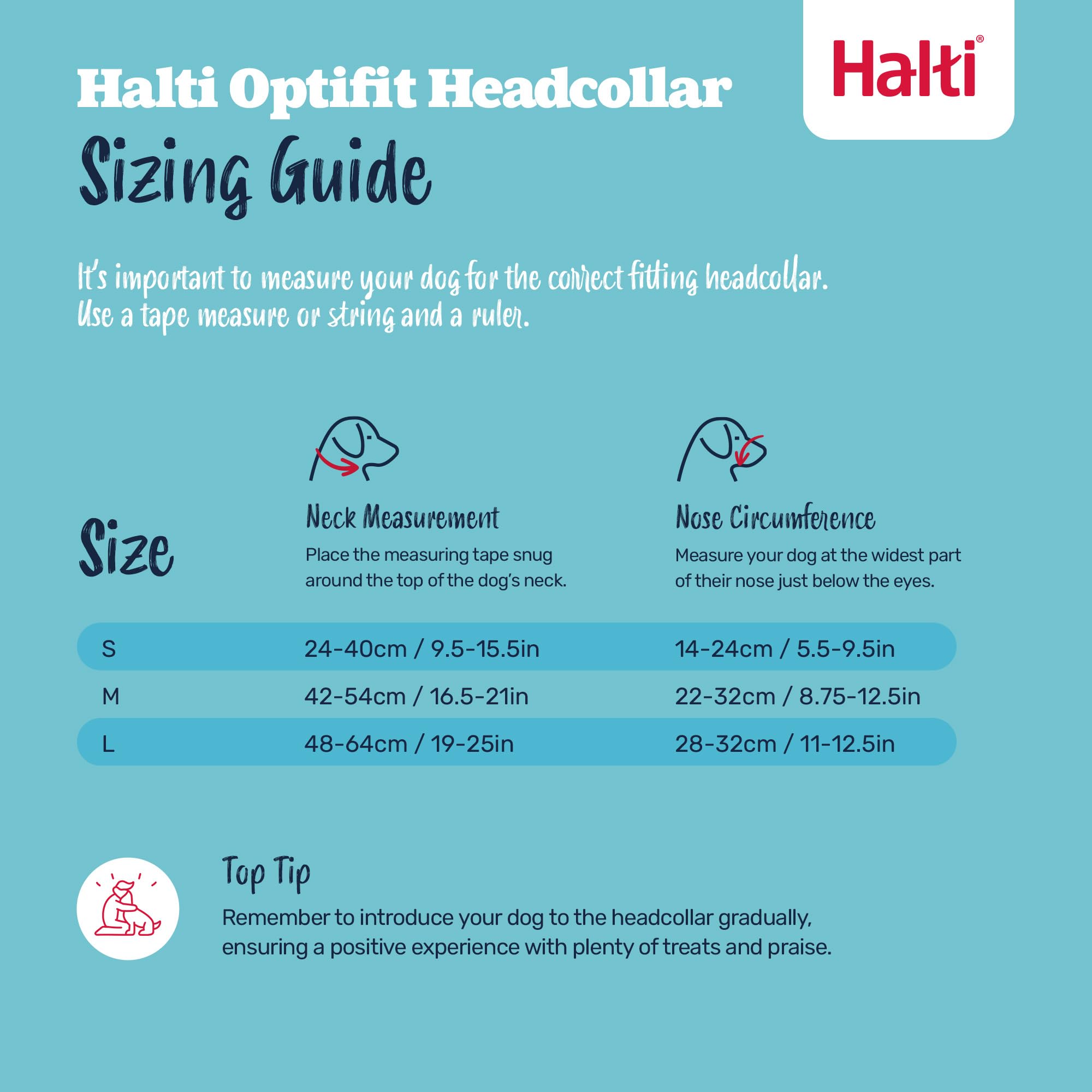 Halti OptiFit safety link connects to the dog's collar for added security.