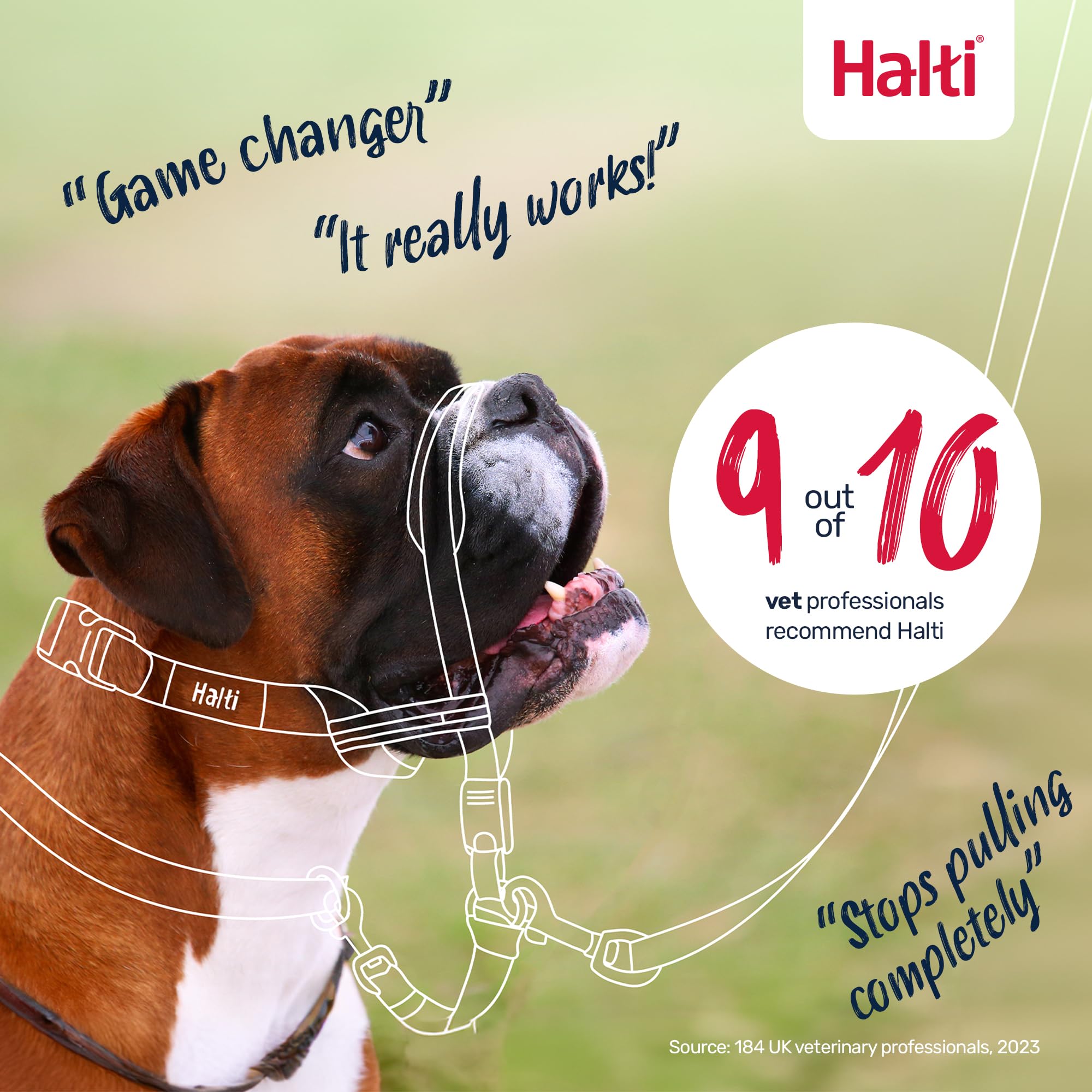 Halti OptiFit headcollar shown with training leash option for no-pull guidance.