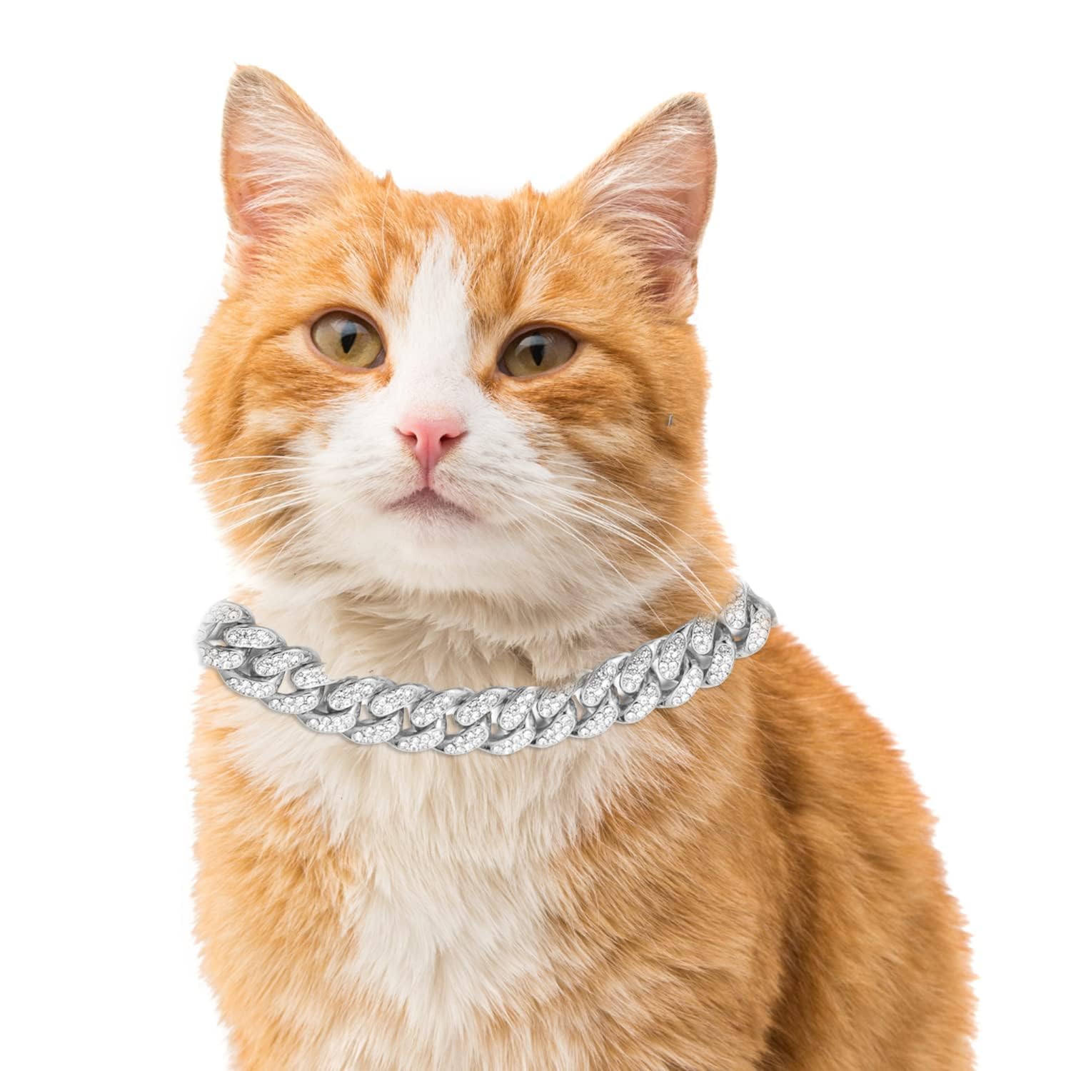 Halukakah Carat iced-out diamond Cuban link cat collar 18in for glam photos