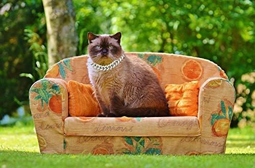 Halukakah safe lead and nickel testing cat collar emphasizes pet safety