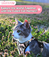 Halypet harness with reflective strips improves visibility during dawn and dusk walks