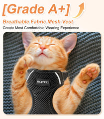 Halypet H200 Pro adjustable sizes ensure a snug fit for growing cats