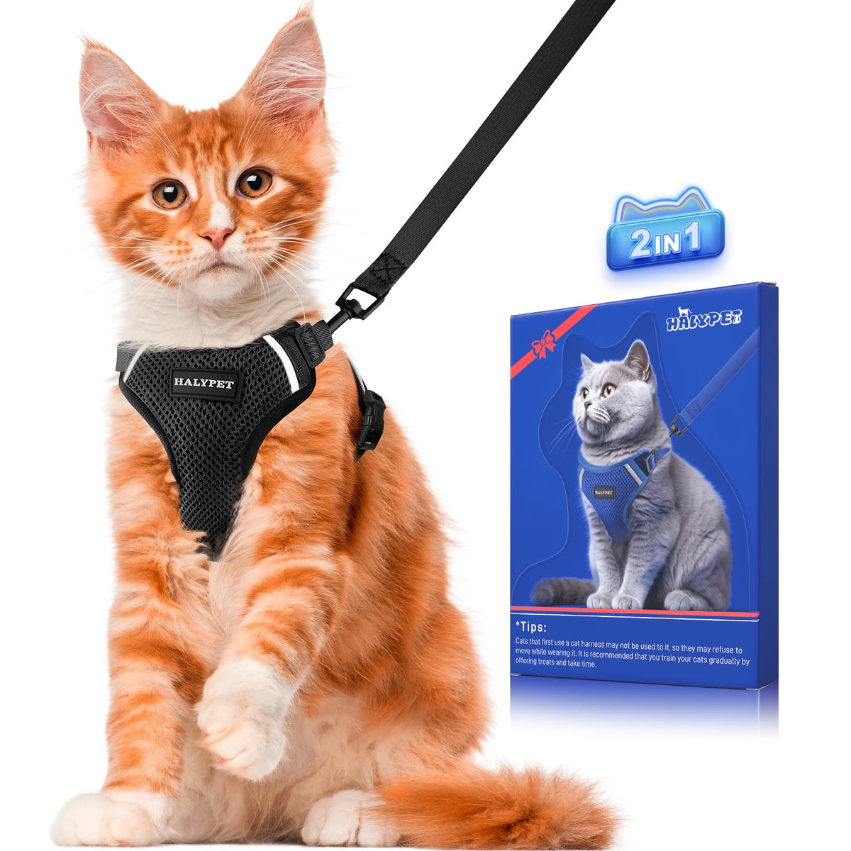 Halypet H200 Pro escape-proof design secures outdoor adventures for curious cats