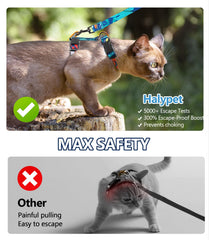 Halypet harness abdomen D-ring disperses tension for safer pulling.