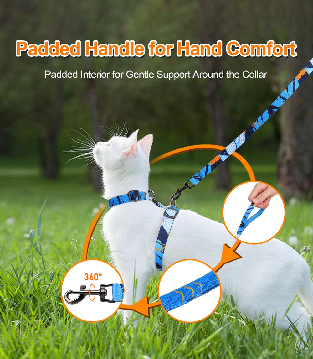 Halypet H300 Pro abdomen D-ring explains tension distribution to reduce neck strain