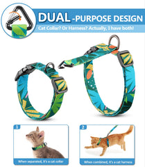 Halypet H300 Pro leash connection demonstrates secure, easy-to-use attachment for outdoor walks.
