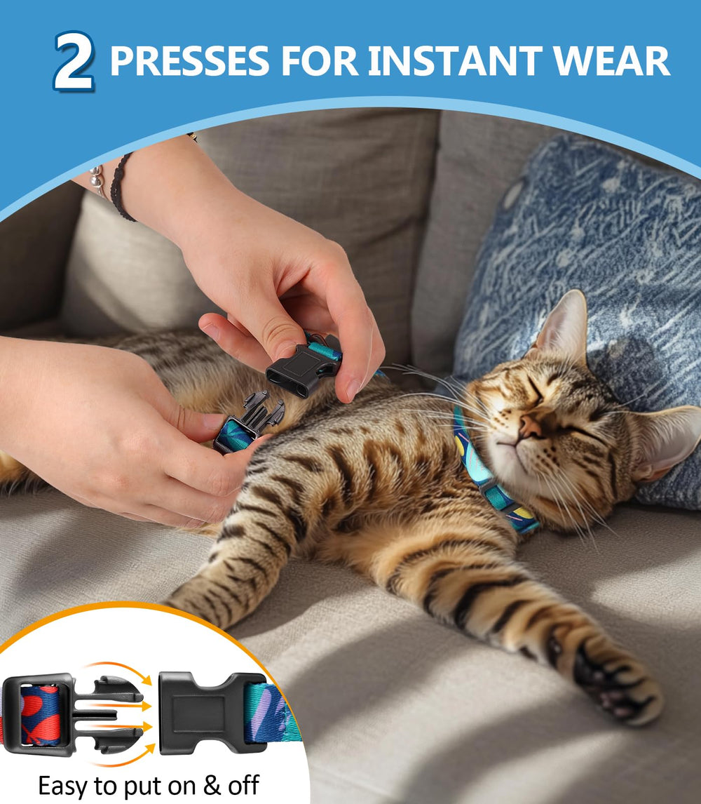 Halypet harness and leash set included for easy daily walks.