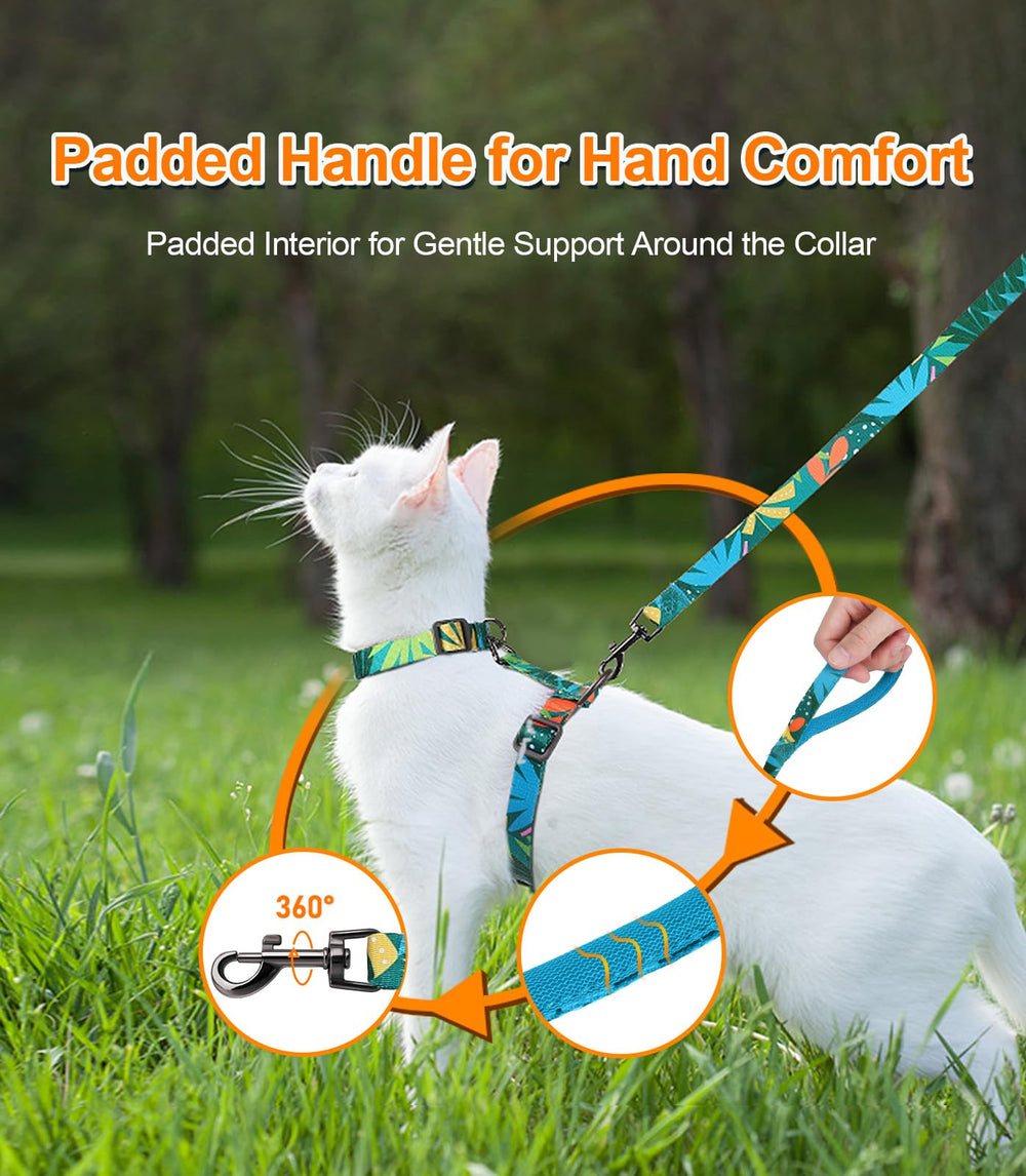 Halypet H300 Pro outdoors usage highlights secure walks and adventures.