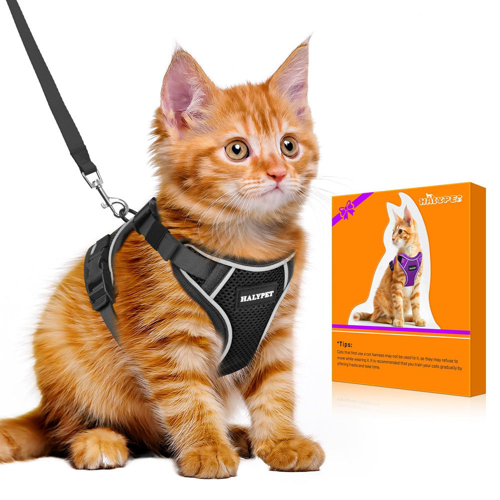 Halypet H600 Pro harness front view shows secure, snug fit for outdoor walks.