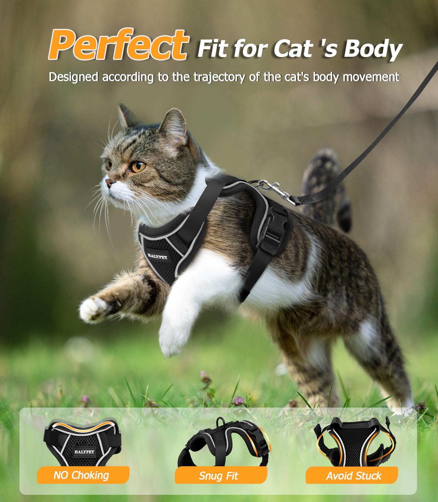 Halypet H600 Pro reflective night-walk feature improves visibility for evening strolls.