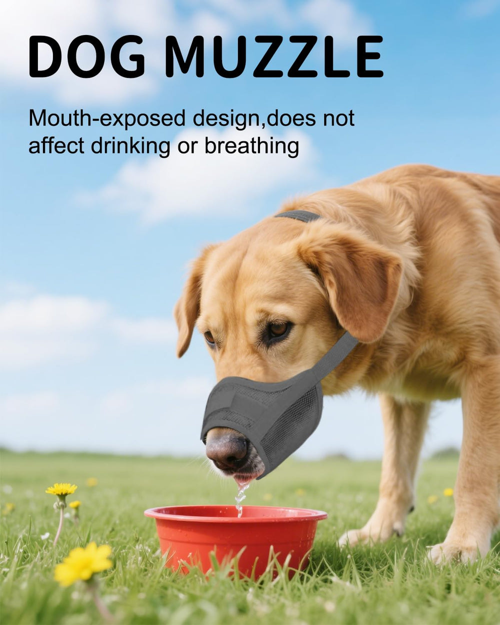 Hamibus 2-pack muzzle features quick-release buckle for fast on/off during sessions