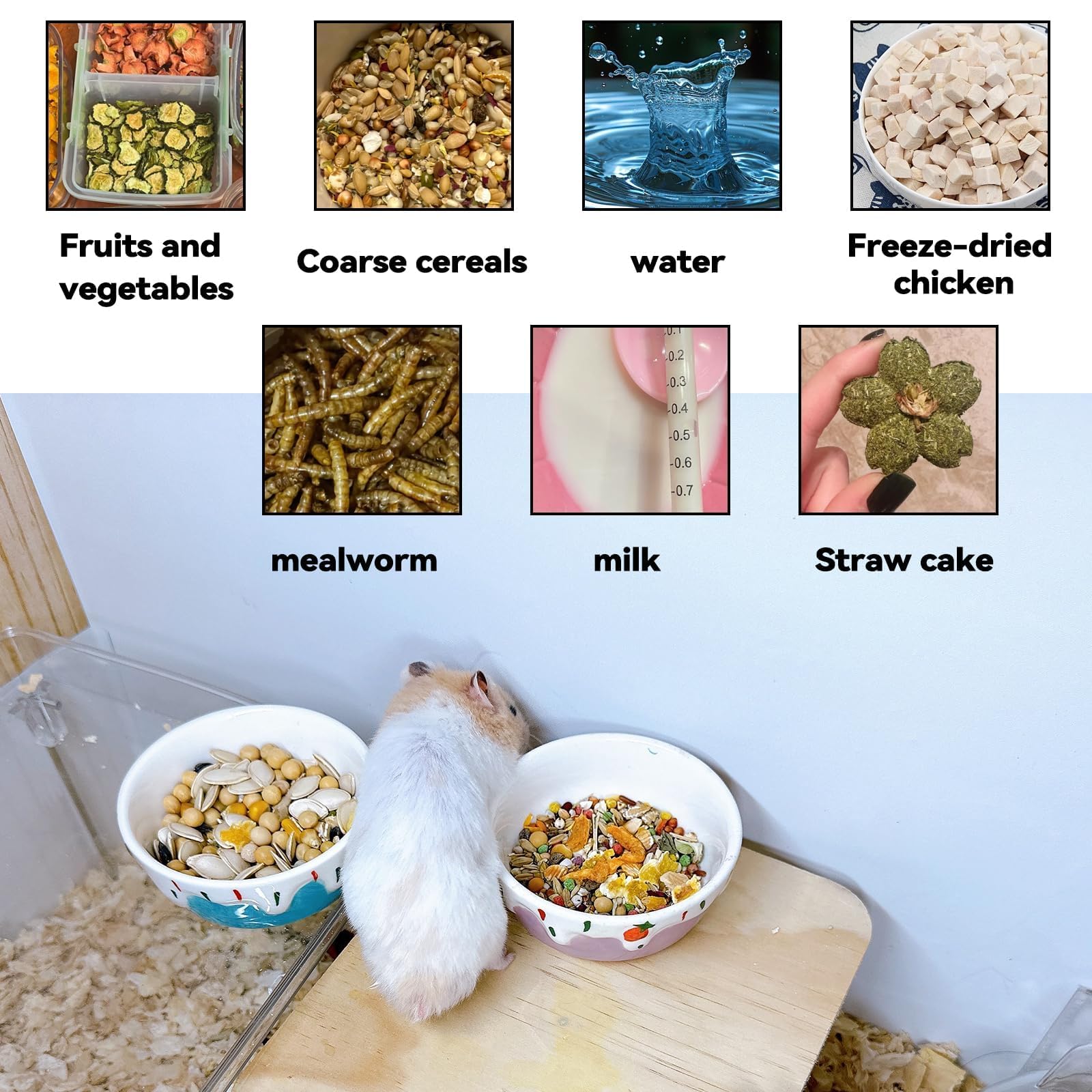 Hamiledyi hamster bowl 3.5-inch diameter by 1.4-inch height fits small pets