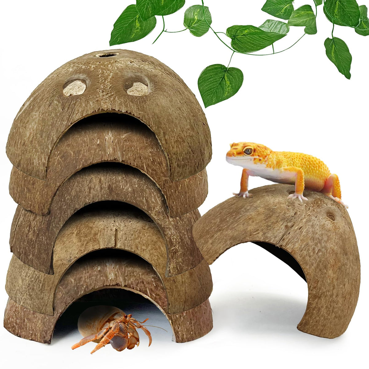 Hamiledyi 7-pcs reptile coconut hideouts pack huts offering secure hides for small reptiles.