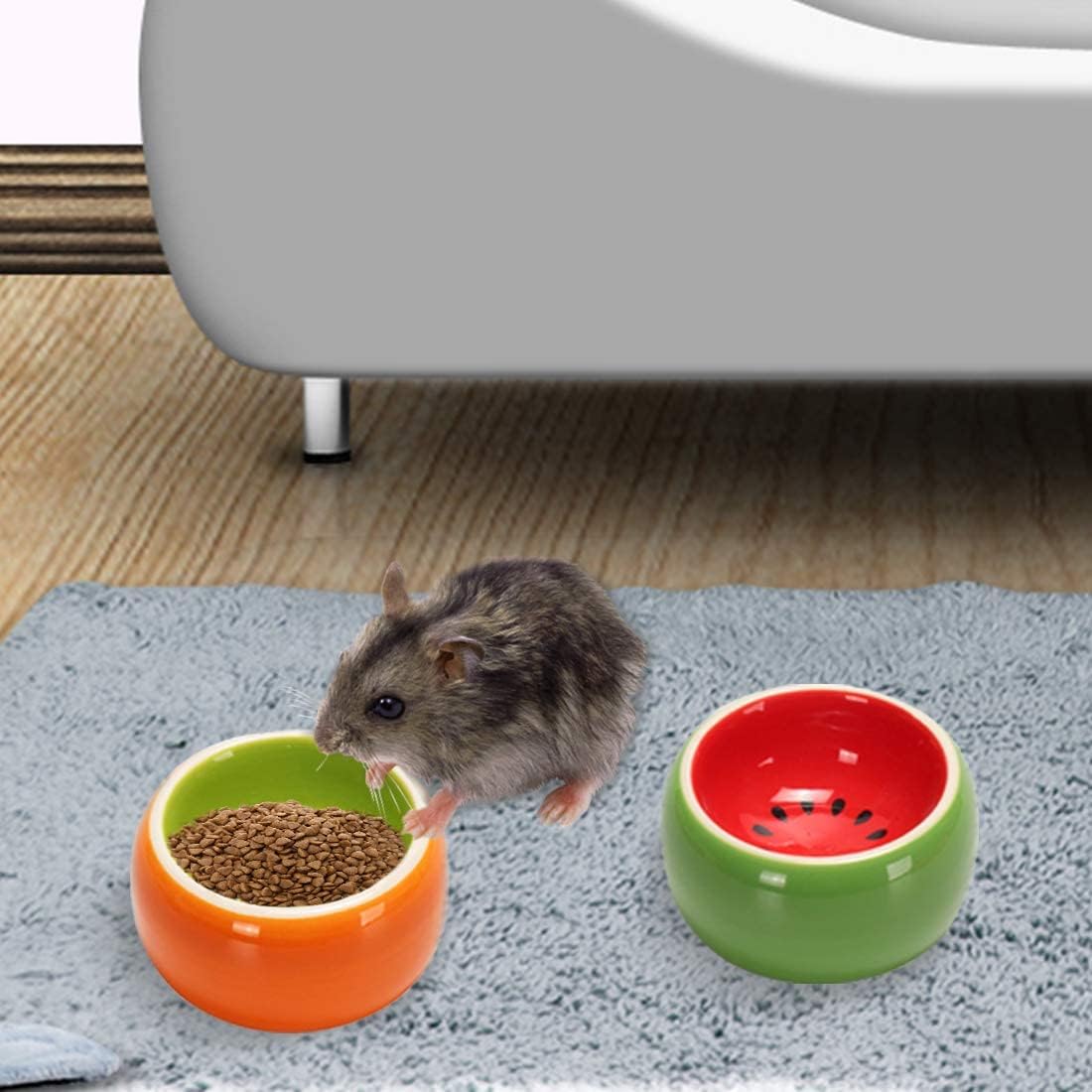 Hamiledyi anti-overturn ceramic bowl stays put during exploration